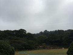 -汉拿树木园