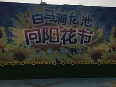 -白马涧龙池景区