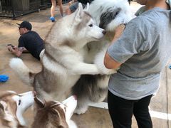 -TrueLove @ Neverland (Husky Cafe)