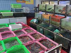 -众味海鲜大排档·活海鲜·潮汕味(南澳店)