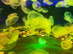 -多彩贵州城极地海洋世界