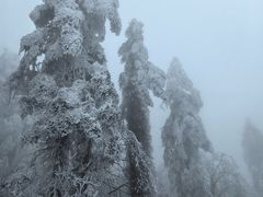 -峨眉山风景名胜区