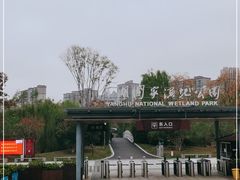 -洋湖国家湿地公园