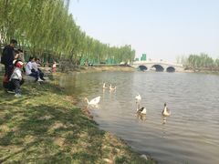 -骏途旅游