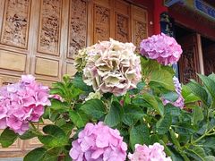 -崇圣寺三塔文化旅游区