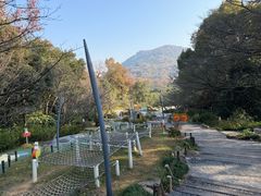 -杭州少年儿童公园