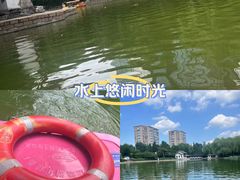 -团结湖公园