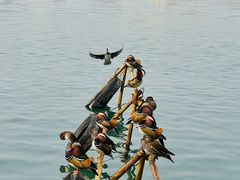 -北海公园