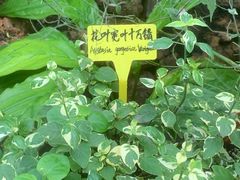 -国家植物园南园