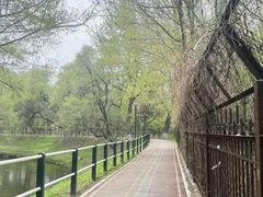 -黛秀湖公园