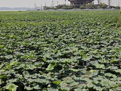 -重元寺香积厨素斋馆