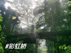 -青青世界