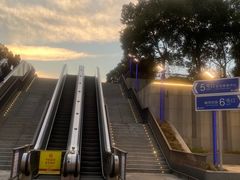 -东方体育中心(地铁站)