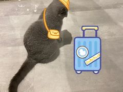 -猫儿山۰猫主题餐厅