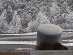 -江南天池
