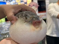 -蒋公馆家宴(江阴店)