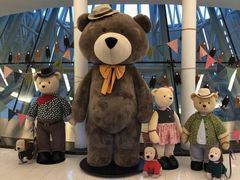 -济州岛泰迪熊博物馆