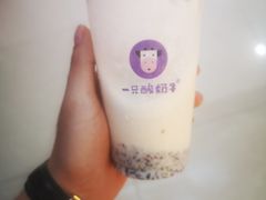 -一只酸奶牛(宝塔区万达店)