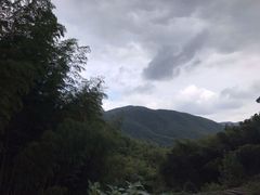 -宁波浙东大竹海景区