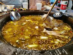 鲜椒麻辣青锅-鲜椒鱼·雅安地标性美食