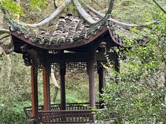 -虎跑公园