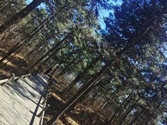 -北京西山国家森林公园