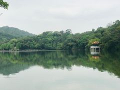-深圳仙湖植物园