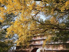 -北京石刻艺术博物馆(五塔寺)