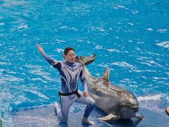 -海合安成都极地海洋公园