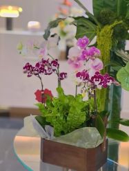 -蘭FACE·海菲秀飞顿Med SPA