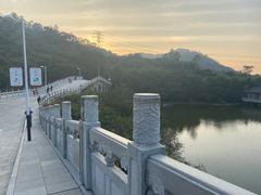 -水濂山森林公园