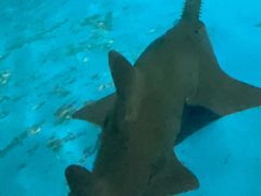 -上海海洋水族馆