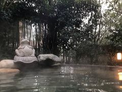-天目湖涵田半山温泉水乐园