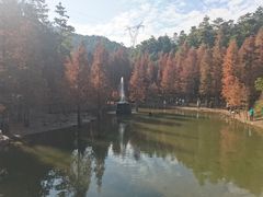 -广州市帽峰山景区