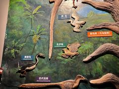 -辽宁古生物博物馆