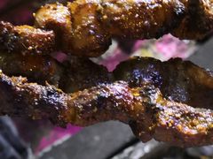 -劳动公园新疆人烤腰子