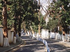 -颐和路民国时期公馆风貌区
