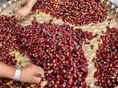 -周老三跷脚牛肉·全牛火锅(非遗传承店)