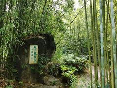 -深圳仙湖植物园