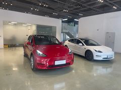 -TESLA 特斯拉(深圳观澜特斯拉直营钣喷中心)