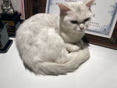 -瞳·实景密室逃脱(护国店)