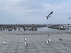 -东港音乐喷泉广场