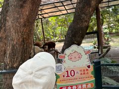 -深圳野生动物园