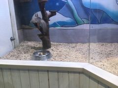 -海合安青岛极地海洋公园