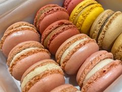 -Pierre Marcolini(德基广场店)