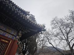 -潭柘寺景区