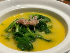 -觀芷隐轩