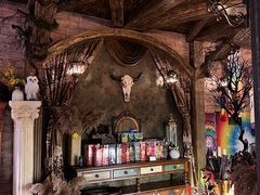 -雪灵魔法世界SHELLY’S TAROT(大良桂畔里店)