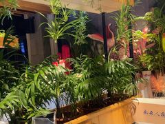 -新安人家·22年本地餐厅