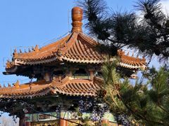 -二一九公园